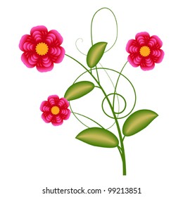 Pink flowers