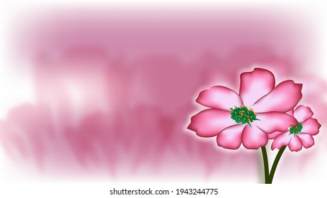 pink flowers Against a blurry grassland background vector template Business presentation Used for decoration, design, advertising work, website or publications Banner and poster, cover and brochure