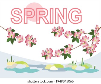 Pink flowers of an apple tree on the branches, in the background of the picture the inscription spring and a pink sun