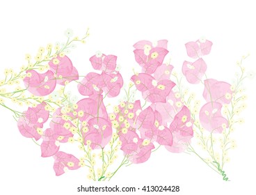 pink flowers for background