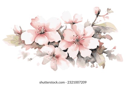 Pink flowers blossom in a watercolor style on a white background in vector graphics