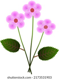 Diseño vectorial de ramos de flores rosas