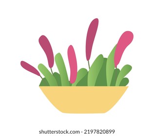 Pink flowers at bowl. Sticker for social networks. Elegance, beauty and aesthetics. Floristry and botany, blooming plant and bouquet. Flower shop and market products. Cartoon flat vector illustration