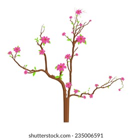 Pink Flowers Branches Illustration