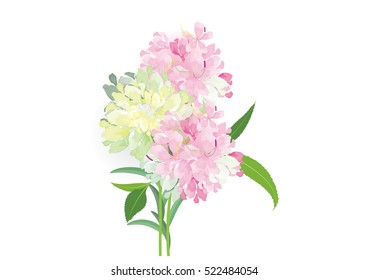 pink flowers circle bouquet on white background,vector illustration