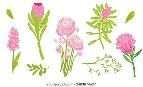 Pink flowers collection. Vector illustration isolated for seasons greeting postcard, poster, wedding invitation, web banner, spring sale advertising, gardening, holiday, gift. Protea, hyacinth