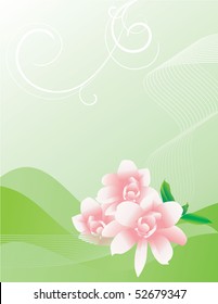 pink flowers curves