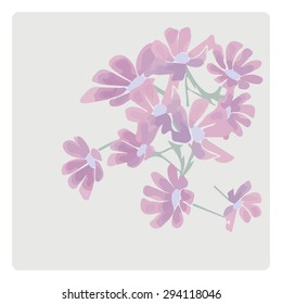 Pink flowers, eps 8