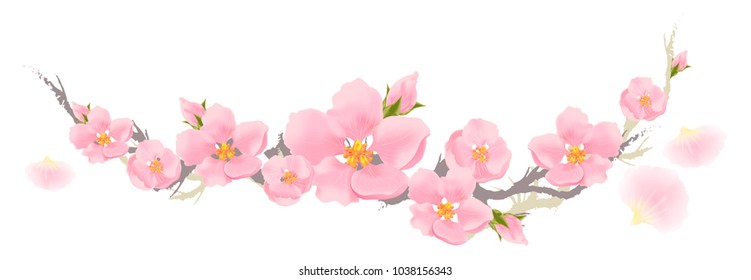 pink flowers. flowering branch of Sakura, apricot, cherry, plum. a wreath of spring flowers. delicate pink flowers isolated on white background. pink petals bloom. vector illustration. 