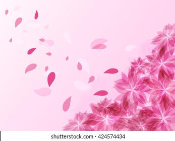 Pink flowers and flying petals on pink background
