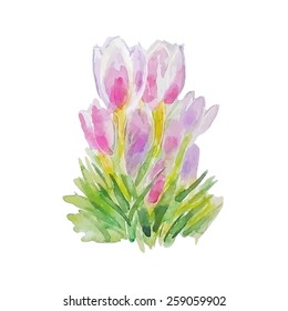 Pink flowers with grass on white background