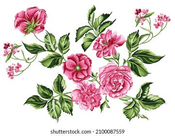 Pink flowers and green leaf bunch isolated on white background. Vector illustration.