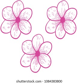 Pink Flowers icon.Vector
