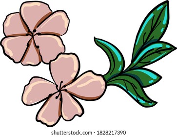 rosafarbene Blumen, Illustration, Vektorgrafik auf weißem Hintergrund