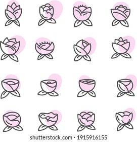 Pink flowers, illustration, vector on white background.