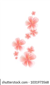 Pink flowers isolated on White background. Apple-tree flowers. Cherry blossom. Vector EPS 10 cmyk