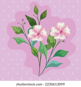 pink flowers with leaves on pointed background