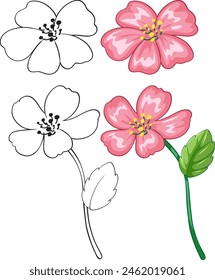 Pink flowers with leaves and outlines