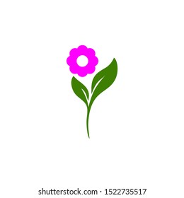 Pink flowers with leaves and stems.