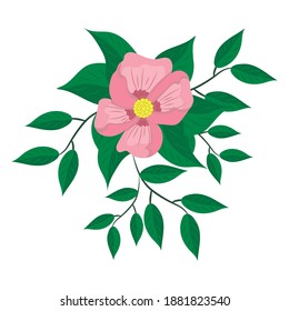 Pink flowers with leaves, vector illustration