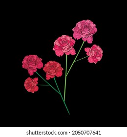 Pink flowers on branch. Vector illustration.