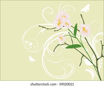 Pink flowers on the decorative background. Vector