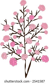 pink flowers on a tree isolated