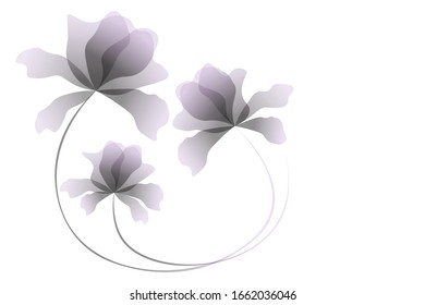 flores rosas sobre fondo blanco