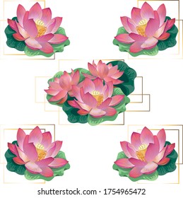 Pink flowers on white background