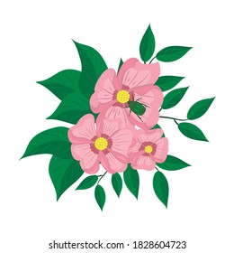 flores rosas sobre fondo blanco, ilustración vectorial