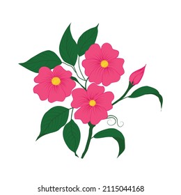 flores rosas sobre fondo blanco, ilustración vectorial