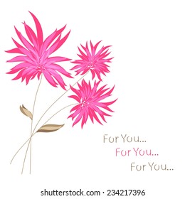 Pink flowers on a white background. Card, greeting, background.