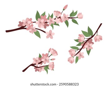 Pink flowers on white background. Spring branch set. Elements are isolated on white background. Design for on cards, invitations.