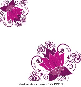 Pink flowers on white background