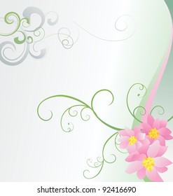 pink flowers on white background vector image