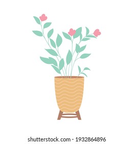 pink flowers in plant pot