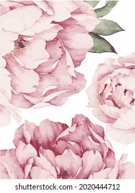 pink flowers postcard tenderness peonies