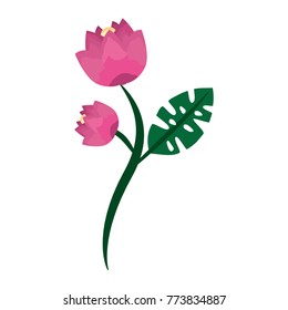 pink flowers stem leaf natural decoration
