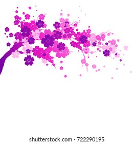 pink flowers tree ,isolated  on a white