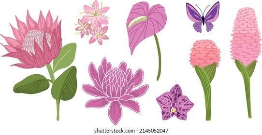 Pink flowers. Tropical flowers collection, hand drawn vector illustrations