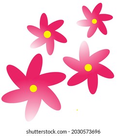 Pink flowers, vector background etc