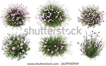 Pink flowers vector set, aerial view of gardening illustrations, transparent backgrounds, png, spring garden, floral illustrations, nature set, blooming pink flowers, gardening design