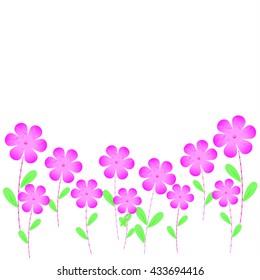 pink flowers white background
