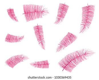 Pink Fluff. Beautiful Hand Drawn Feathers Isolated. Fluff for Wallpaper, Illustration, Carnival, Masquerade, Invitation, Paper, Textile. Decoration Element for Your Design.