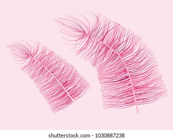 Pink Fluff. Beautiful Hand Drawn Feathers Isolated. Fluff for Wallpaper, Illustration, Carnival, Masquerade, Invitation, Paper, Textile. Decoration Element for Your Design.