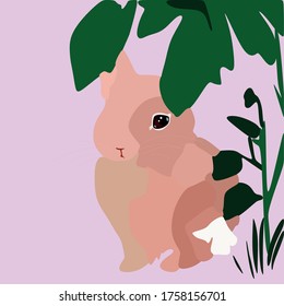 Pink, fluffy, cute rabbit looks straight. Isolated on a colored background, white flowers with greenery.Rabbit in the 