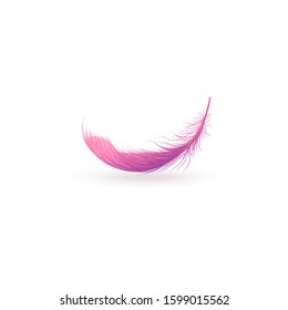 Pink fluffy feather floating in air isolated on white background, smooth light bird quill with beautiful feminine purple gradient in realistic hand drawn style, vector illustration