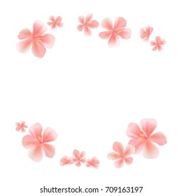 Pink flying flowers isolated on White background. Frame. Sakura flowers. Cherry blossom. Vector EPS 10, cmyk