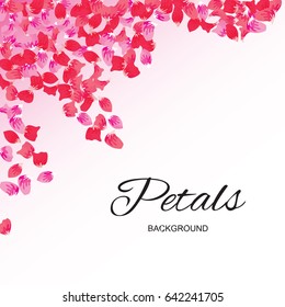 Pink Flying Petals Background. Festive Summer Floral Texture. Vector Illustration