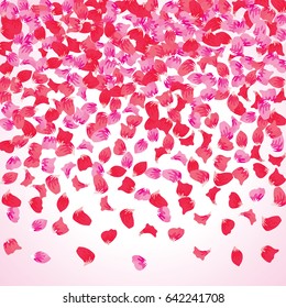 Pink Flying Petals Background. Festive Summer Floral Texture. Vector Illustration